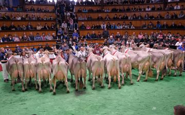 dscf1980-championwahl-geschnitten