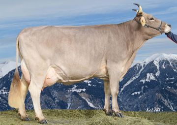 Romina, die Mutter von Vincenzo