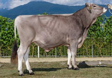 30-06-2021-toro-payman