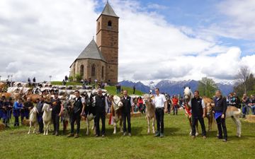 dsc03203