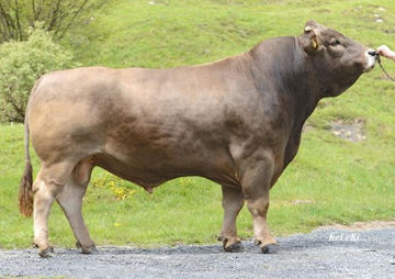 Hiller