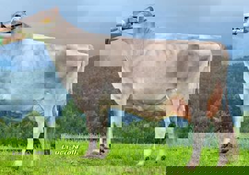26-08-2014-it021001650397-profanter-poster-ruusch-mutter-hadrian