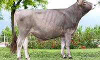 20-05-2025-toro-colin