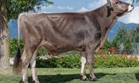 12-08-2022-toro-bolton
