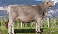 12-04-2024-toro-select