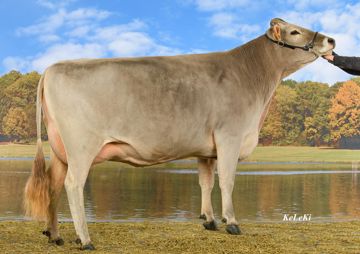 sg0093862-ewyn-ch-120-1452-1077-4-elvis