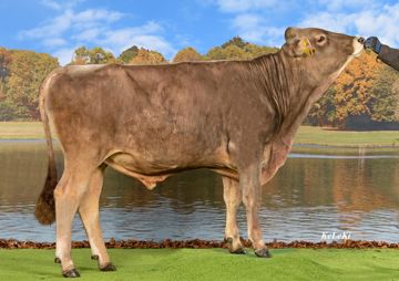 sg0101068-swissgen-mane-sg-mo-sg-et-ch-120-1659-7995-8-mane-sg-et