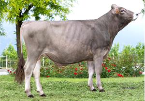 20-05-2025-toro-colin