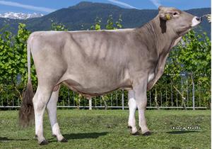 30-05-2025-toro-coleman