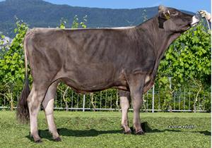 30-05-2025-toro-odermatt