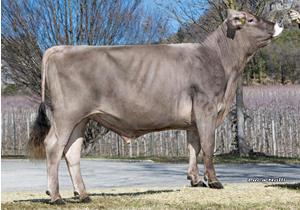 01-03-2023-toro-dolomit
