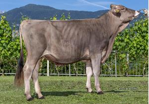 30-05-2025-toro-bali