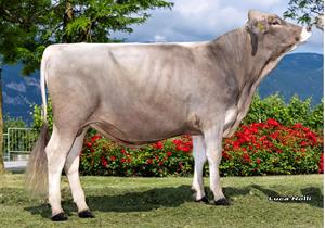 07-06-2023-toro-dakar