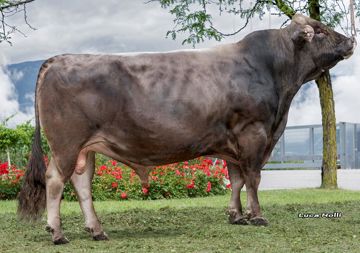 07-06-2022-toro-asos-l