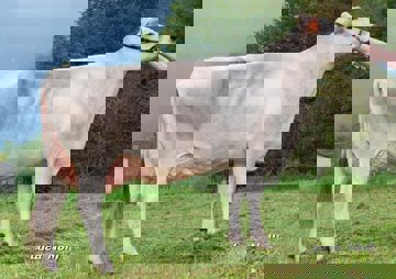 09-09-2014-it017991010016-alpe-del-garda-potassio-clotilde