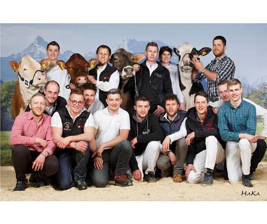 suedtirol-gruppe