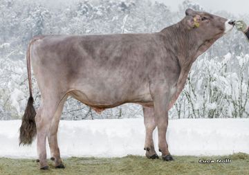 15-02-2022-toro-sinis
