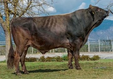 16-04-2019-toro-virkon