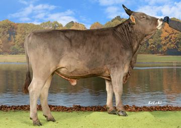 sg0103491-kuno-ch-120-1718-4532-2-omar