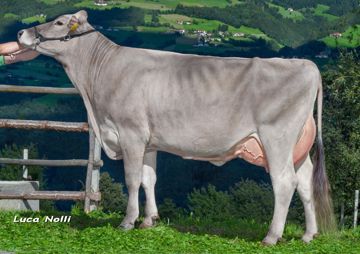 27-08-2014-it021001893601-rabensteiner-noel-kluge