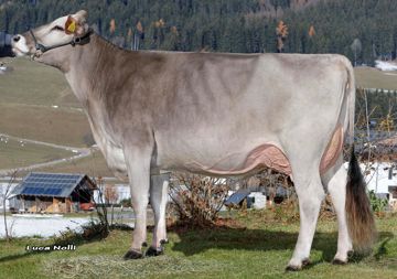 durnwalder-bays-larissa-mutter-dolomit