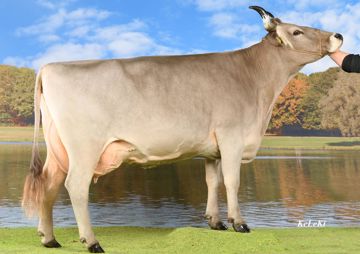 sg0087309-kroni-ch-120-0939-8818-3-rino