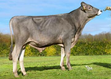 uzel-fr6126271026-classique-hd