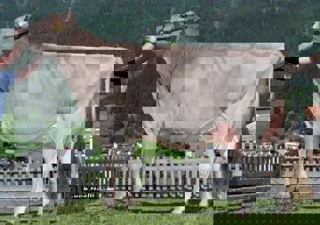 14-06-2017-it021001729701-bochet-glenn-nora