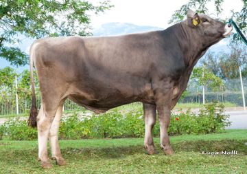 15-09-2015-toro-mardoc
