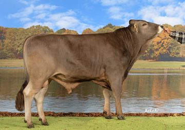 sg0105724-gubser-ueli-sob-rasimus-baileys-ch-120-1677-0948-5-rasimus