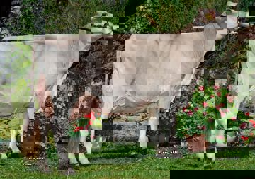 30-08-2019-it021002011498-parth-zephir-asnton