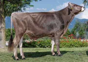 12-08-2022-toro-bolton
