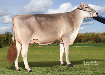 la-rainbow-tank-saphire-etv