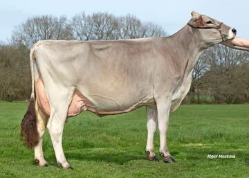 uzel-gdam-olysee-fr6126270690-sinatra-drouet-mickael-61-belforet-en-perche-classique-hd-1