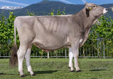30-05-2025-toro-coleman