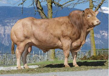 23-04-2021-toro-orgnac-3qa