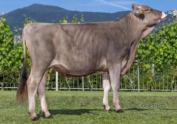 30-05-2025-toro-bali