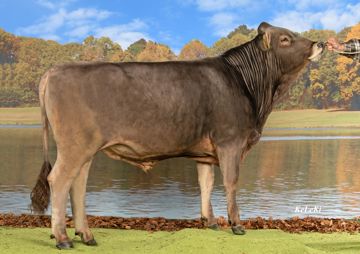 sg0107716-asserro-ch-120-1790-4892-3-antonic