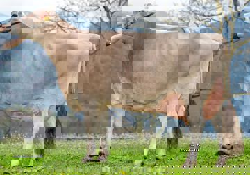 16-04-2019-it022990192406-gianera-solaris-sara